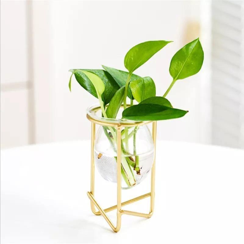 Modern Glass Plant Vase